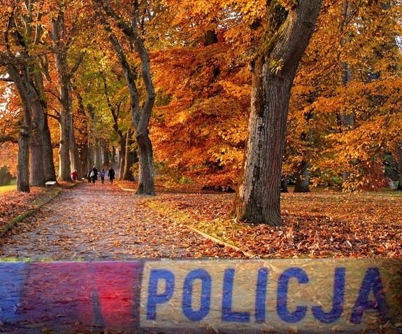 drzewa, napis &quot;policja&quot; na dole zdjęcia