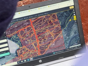 Działania służb mundurowych w terenie leśnym